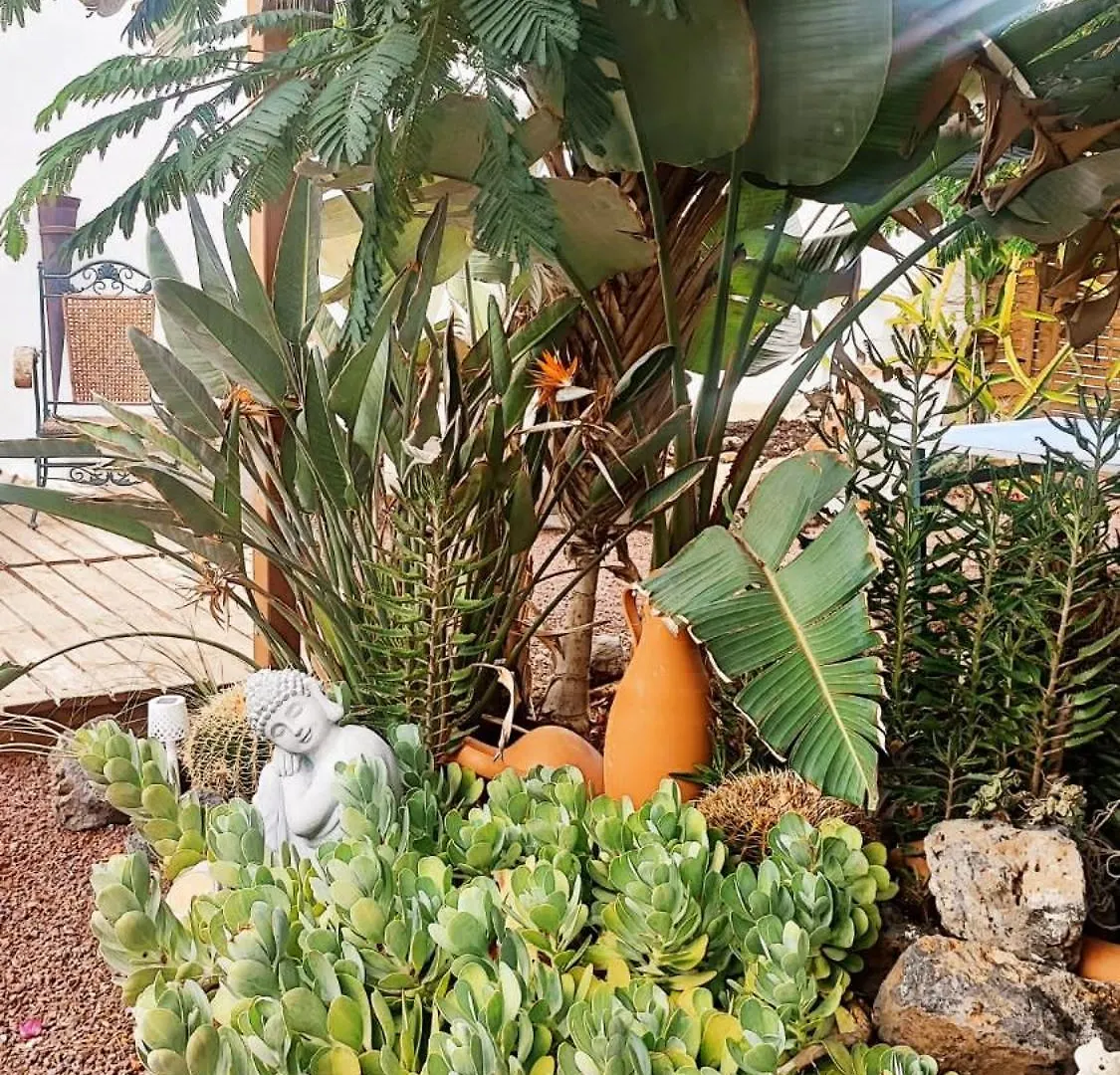 Beautiful Chalet With Wifi And Free Parking Arona  0*, Arona (Tenerife) Spain
